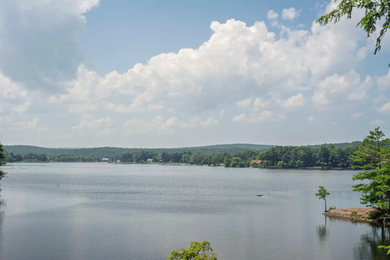 A wide view across the flat, glassy water of Barton Cove on a summer afternoon. Low forested ridges run across the far shore, with a few small buildings and what look like moored boats just visible at the distant shoreline. A small rocky outcrop with a single young pine sits low in the water on the right. Tree branches frame the upper right and lower left of the frame. Tall summer cumulus clouds drift across a hazy blue sky and reflect on the calm surface.