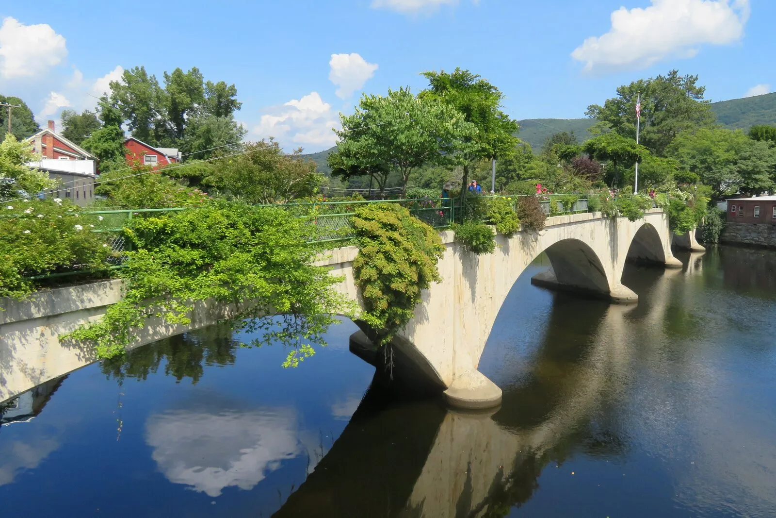 The Bridge of Flowers in Shelburne Falls, Massachusetts, viewed from a riverside angle on a sunny late-summer day. The graceful five-arched concrete trolley bridge spans the Deerfield River, its parapet and railings overflowing with green vines, shrubs, and flowering perennials that cascade down the pale stonework. The river beneath is glassy and still, mirroring the white arches and the blue sky with scattered cumulus clouds. Trees in full green leaf and the rooflines of the village rise on the far bank, with low forested hills behind.