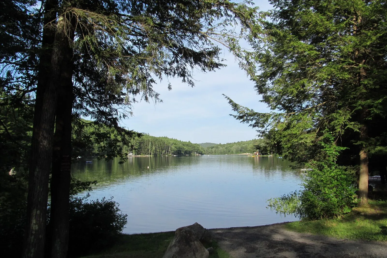 Laurel Lake in Erving State Forest on a bright summer morning — a calm, dark-blue lake reflecting the surrounding wooded shoreline, framed by the trunks and overhanging boughs of tall hemlocks and pines on both sides of the view, a low forested ridge visible across the water in the middle distance, a partly cloudy blue sky overhead, and a small dirt-and-grass clearing with a single pale boulder in the immediate foreground at the edge of the lake.