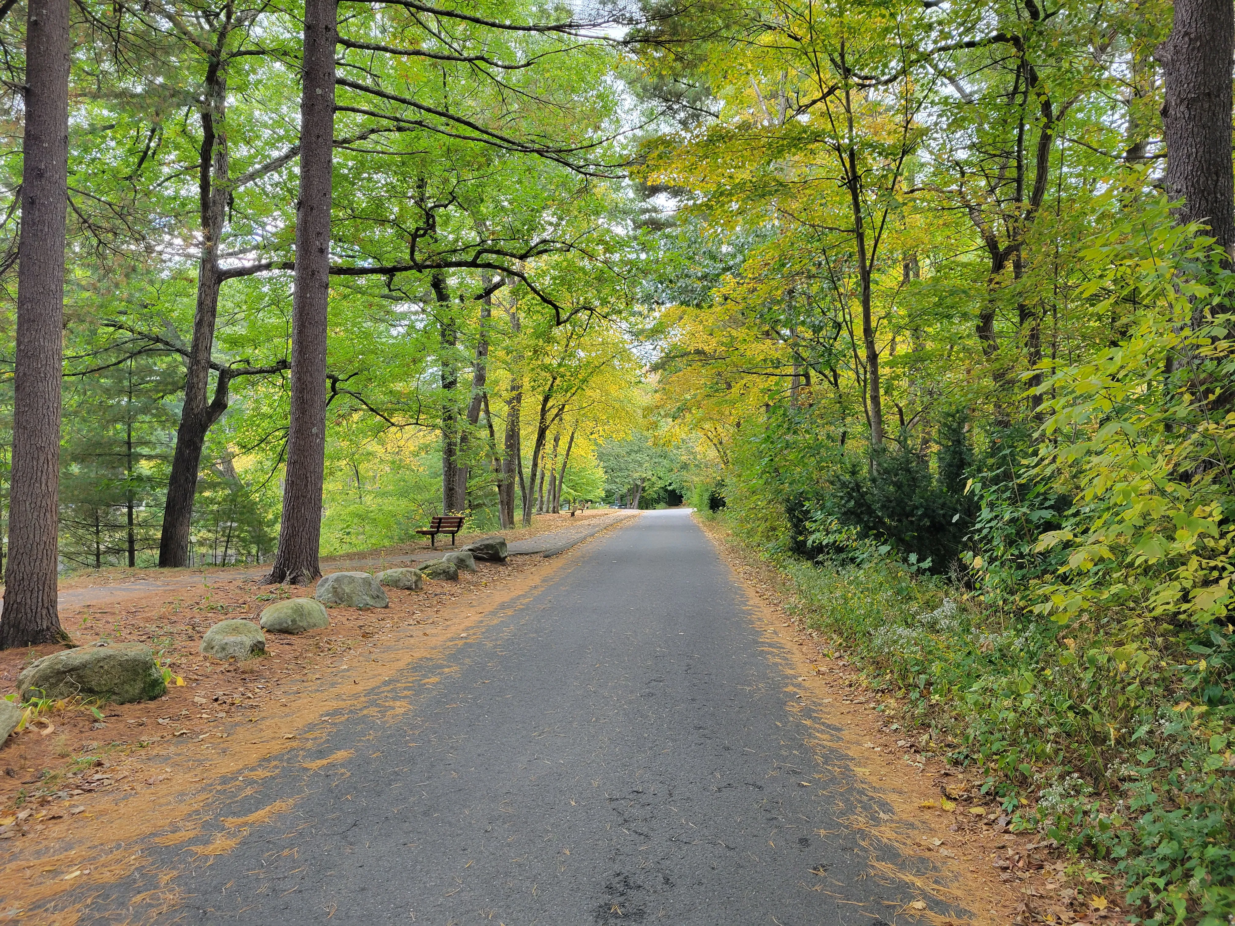 A wooded park lane in Look Park in Florence on an early-fall afternoon, with stone borders and benches under tall oaks.
