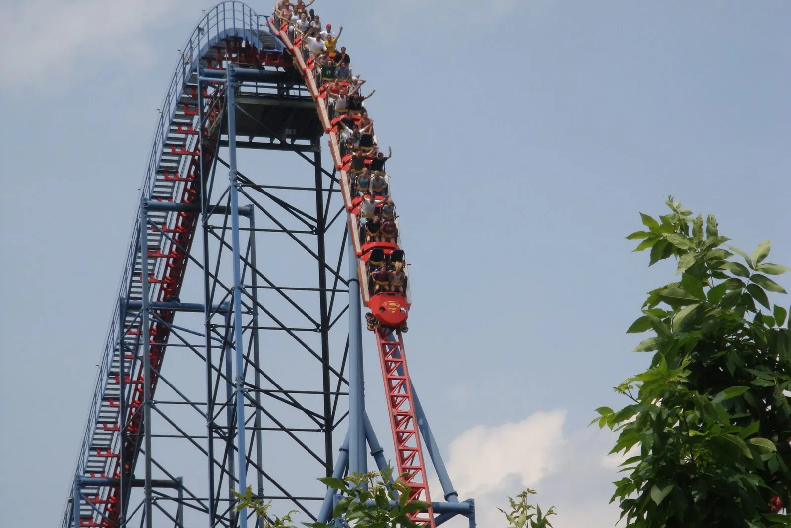 A train of riders cresting the first drop of Superman: The Ride at Six Flags New England in Agawam on a hazy summer afternoon. A tall blue steel-truss lift hill on the left climbing into a pale blue sky scattered with thin white clouds, the red-railed track plunging down a steep right-curving descent on the right with the train of red cars angled nose-down toward the camera, riders' arms raised, the open lattice of the support structure framing the drop, and leafy green tree branches at the lower right and bottom edges of the frame.