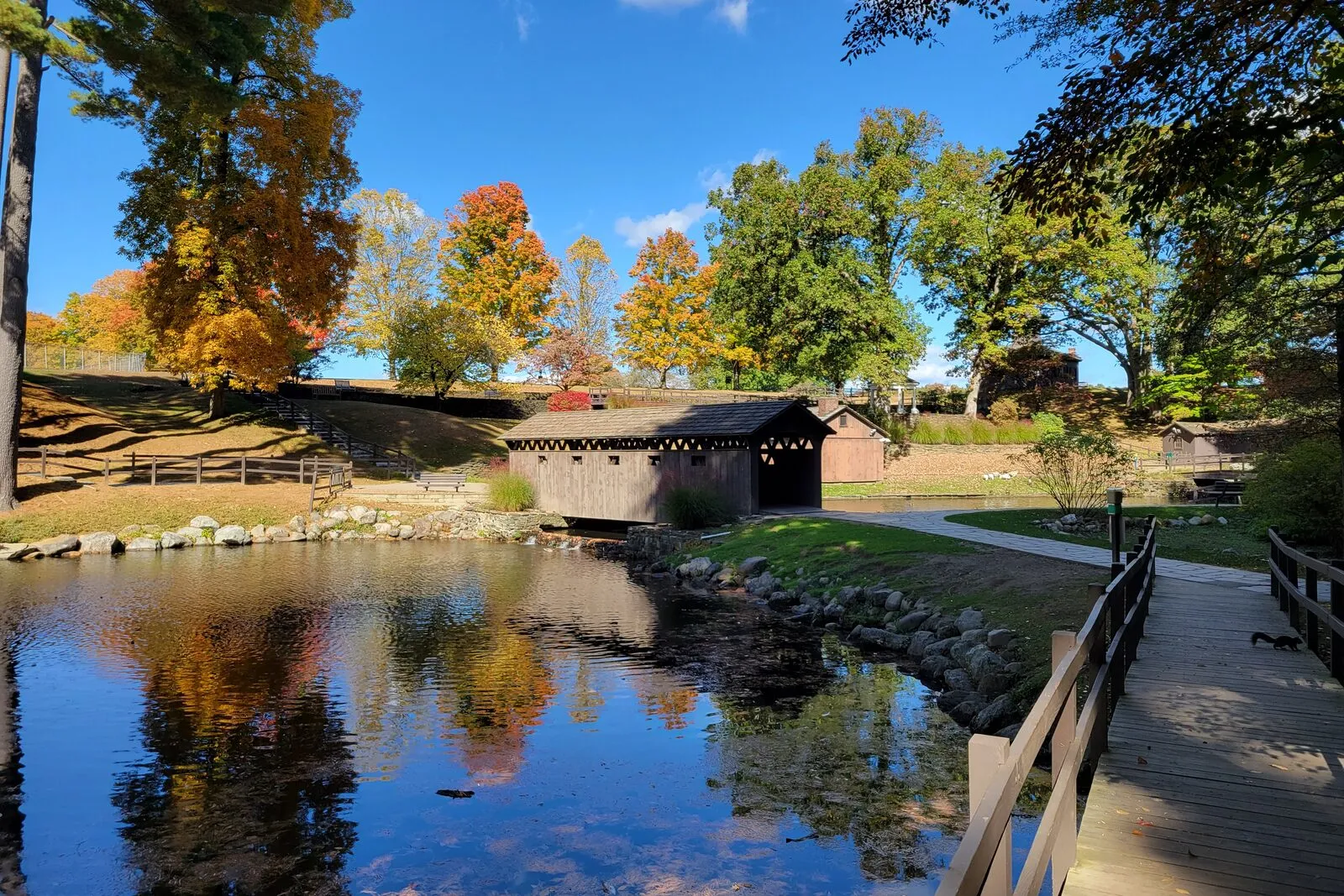 The Goodrich Bridge — a small wooden covered bridge with weathered red-brown shingled walls and a peaked shingled roof — sits at the far side of a still pond in Stanley Park. The bridge is reflected in the dark water alongside surrounding trees in early autumn color, with greens, yellows, and rust tones along the far bank. Tall conifers rise behind the bridge against an overcast sky. A low railing and grassy bank line the foreground. The light is soft and even.