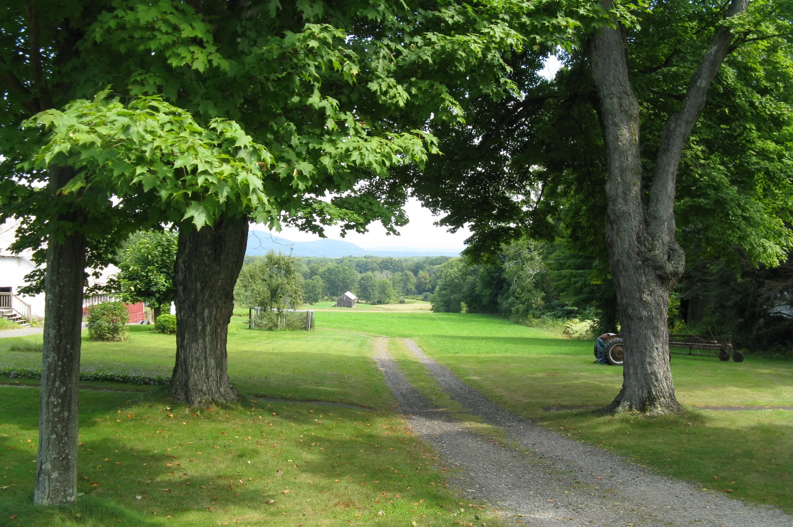 A view east across a Whately farm: two huge maples in full green leaf framing a dirt farm lane between mown summer pastures, with the Holyoke Range and the Connecticut River Valley in the distance.
